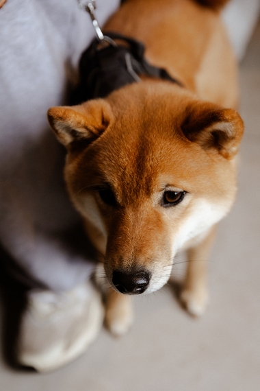 безымянный (105 из 148).jpg