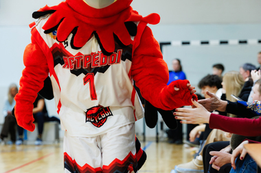 IMG_9493-Улучшено-Ум. шума.jpg