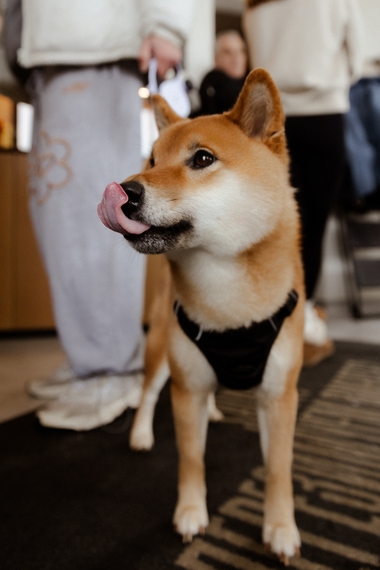 безымянный (114 из 148).jpg